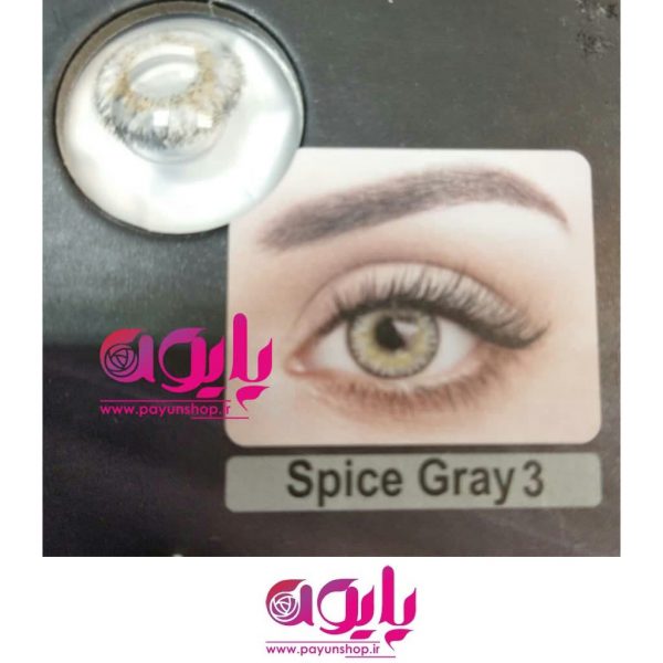 لنز رنگی نیو ویژن مدل spice gray 3